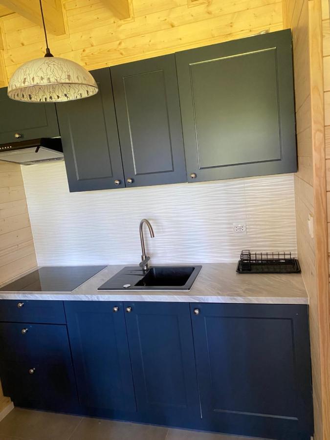 Jarzebinowy Zakatek Apartment