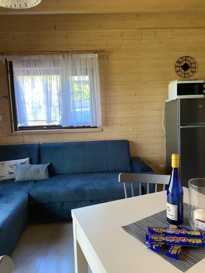 Apartment Jarzebinowy Zakatek Kopalino