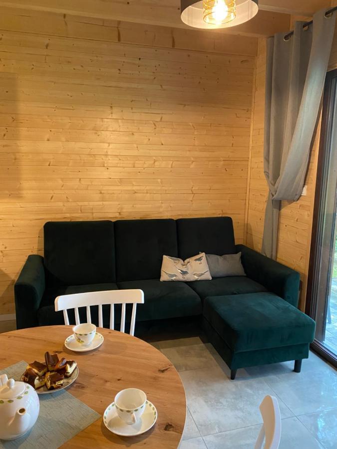 Jarzebinowy Zakatek Apartment *