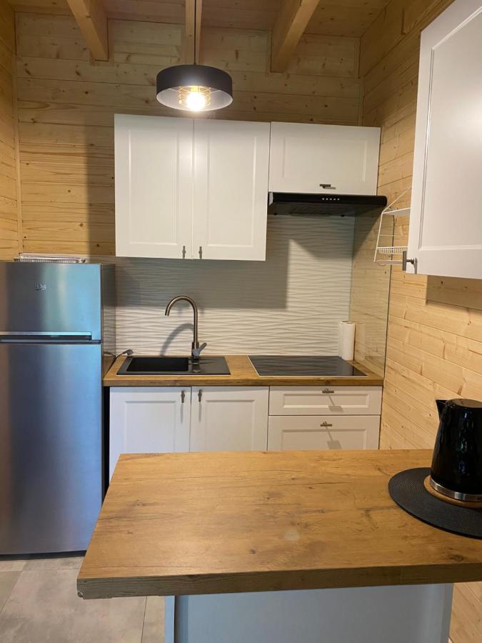 Apartment Jarzebinowy Zakatek